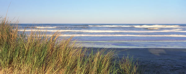 photo of beach, dunes and grasses and the ocean and waves