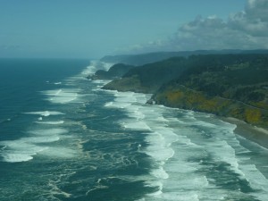 Heceta Head