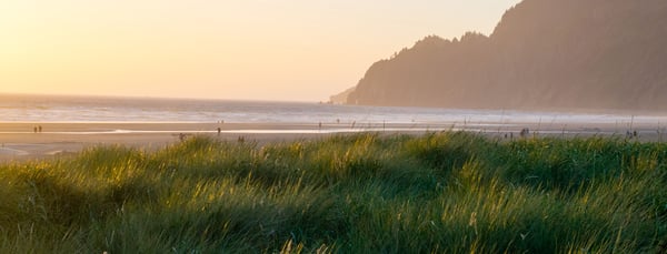 Image of dunes and beaches in Oregon