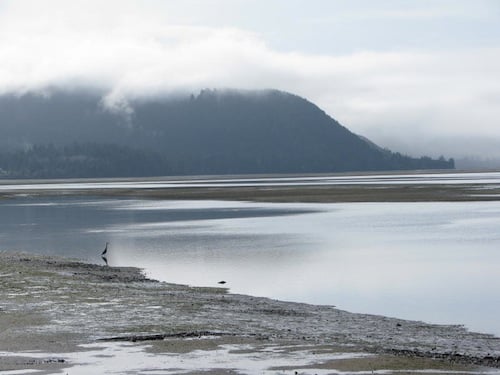 Netarts Bay, by Dale Harmer