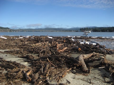 Styrofoam at the mouth of the Alsea