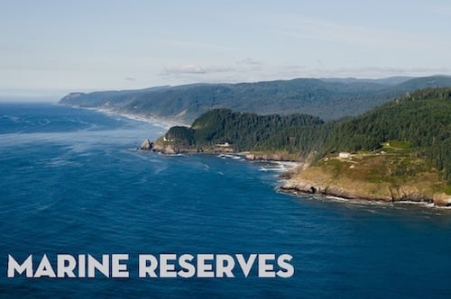 Looking North to Heceta Head & Cape Perpetua