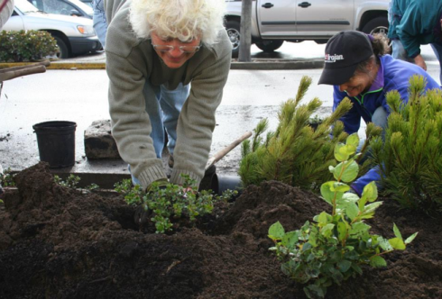 A volunteer planting a new Ocean Friendly Garden in Coos Bay