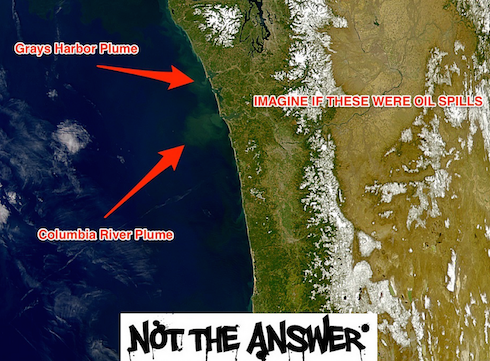 These natural plumes from these systems give us a good idea of what oil spill impacts could look like
