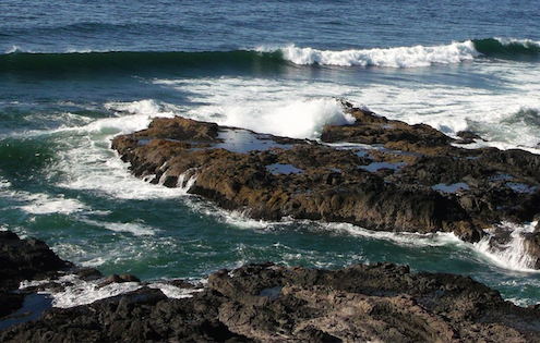 Otter Rock's Marine Gardens special management area