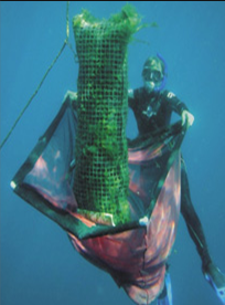 A diver collects a "SMURF" device from it's mooring