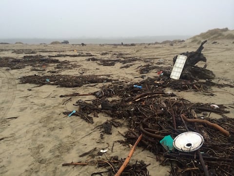 Florence South Jetty 12-23-14