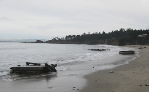 Docks after washing ashore prior to break up