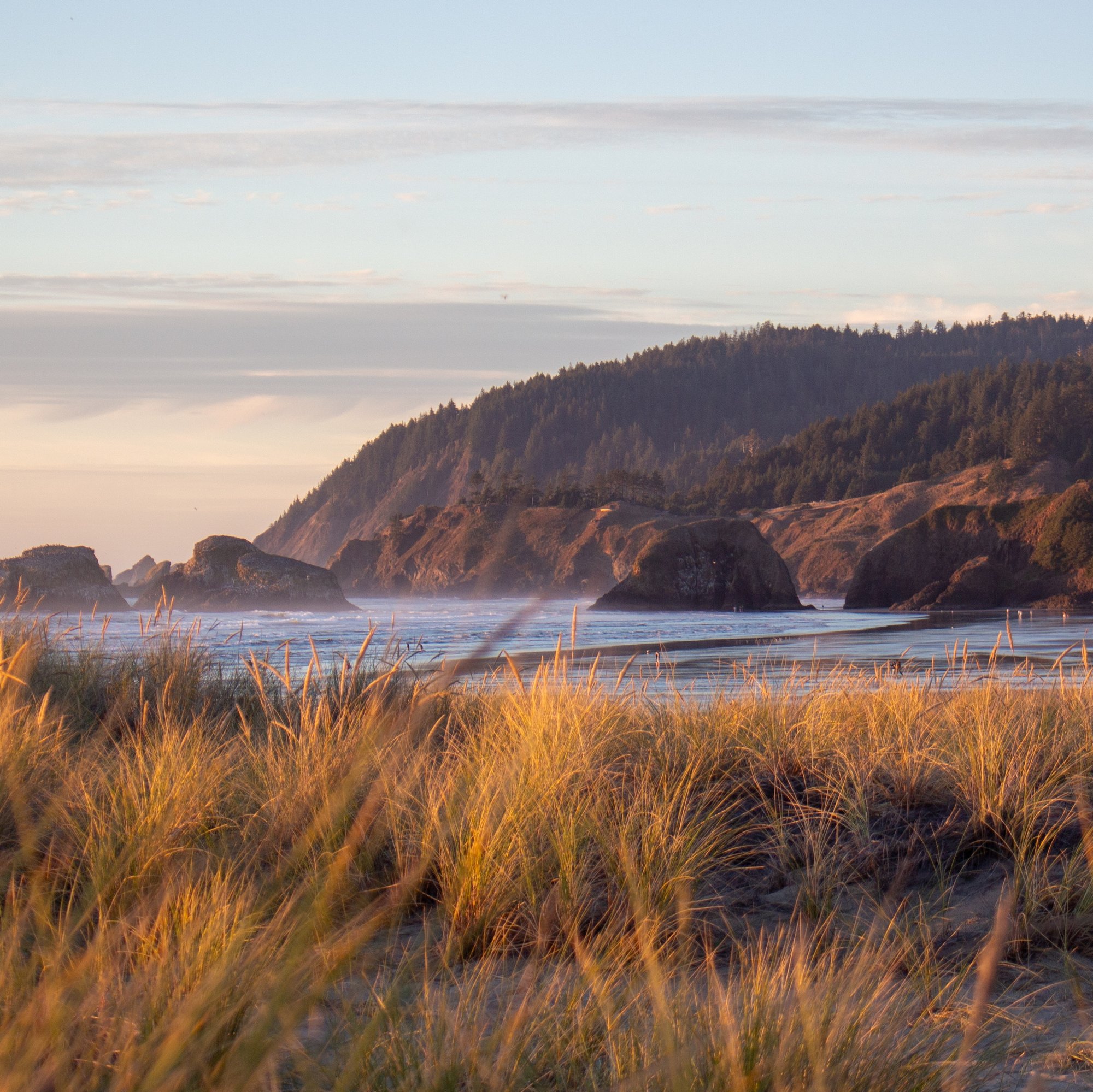 Chapman Point_MMiklas SQUARE