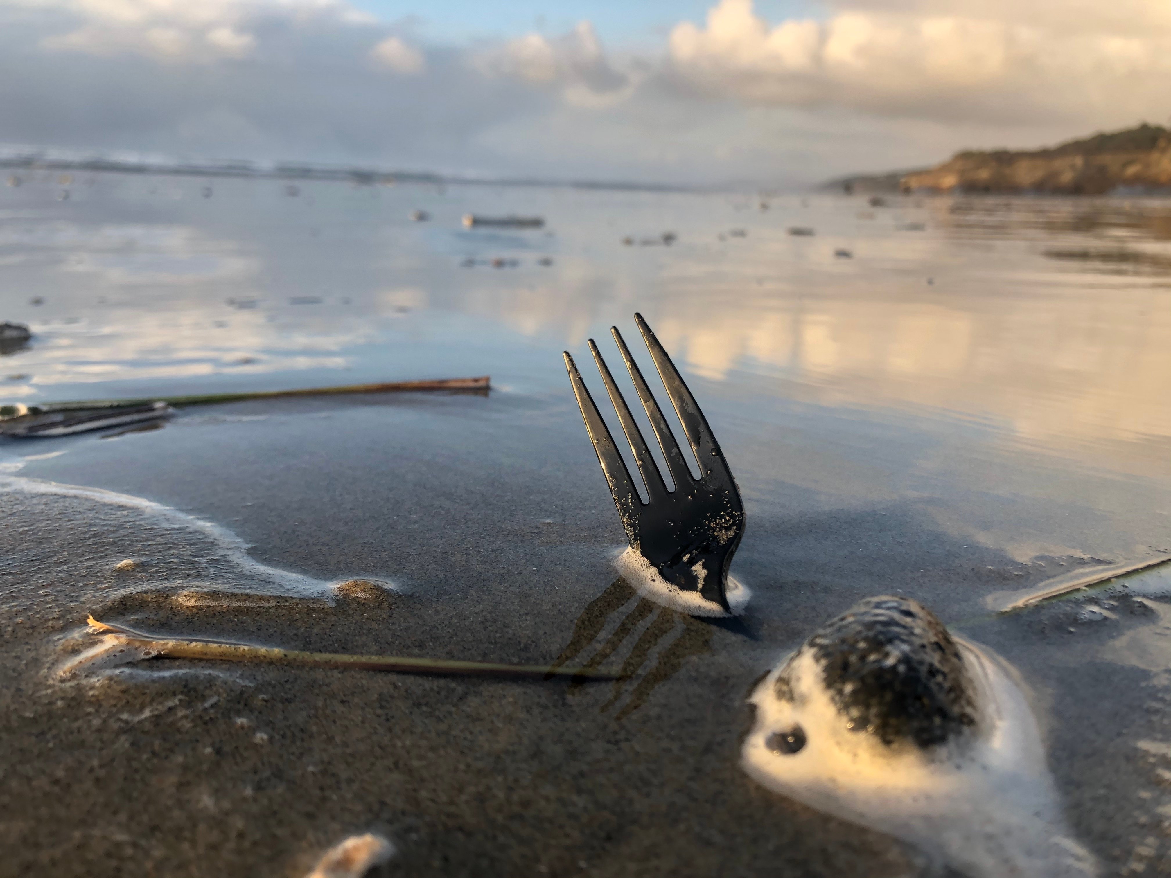 Forkplastic3