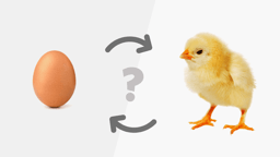 chicken or egg