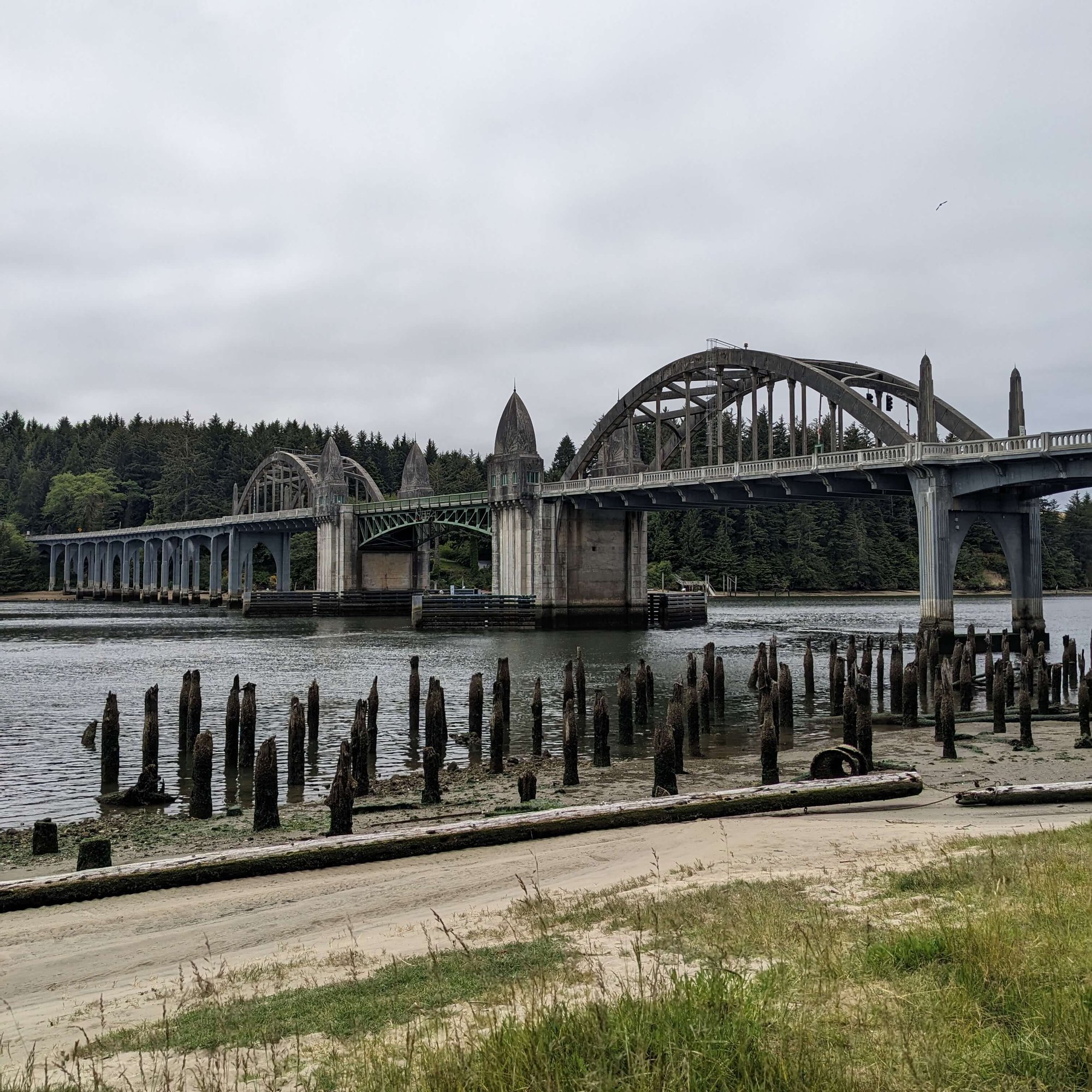 siuslaw river bridge