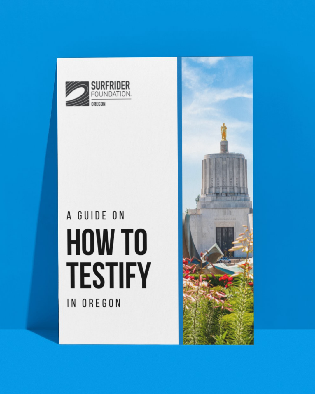 Copy of OR Testimony 101 -Written + Oral