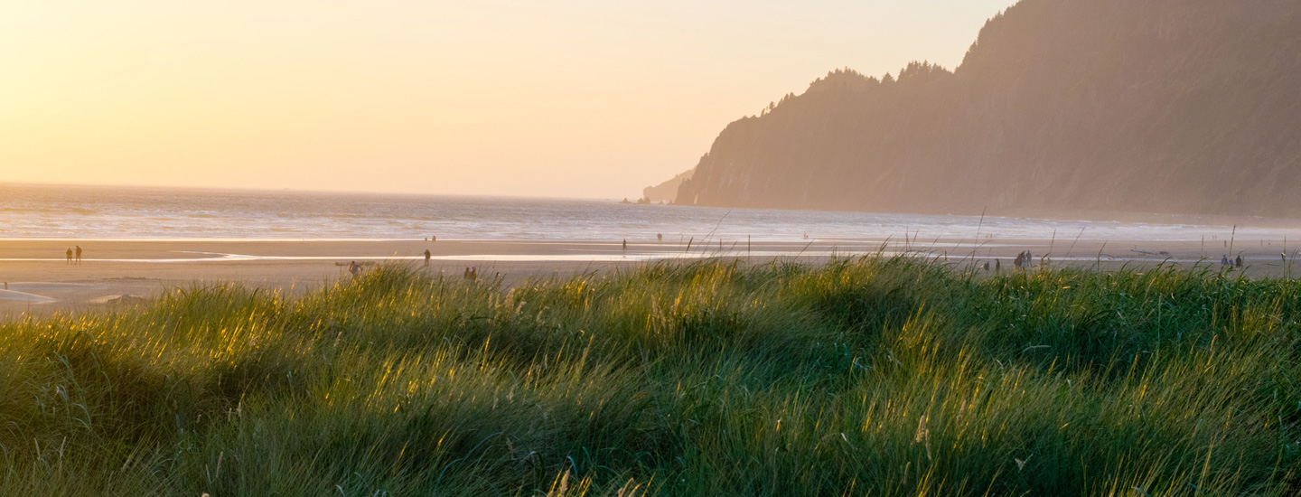 Image of dunes and beaches in Oregon