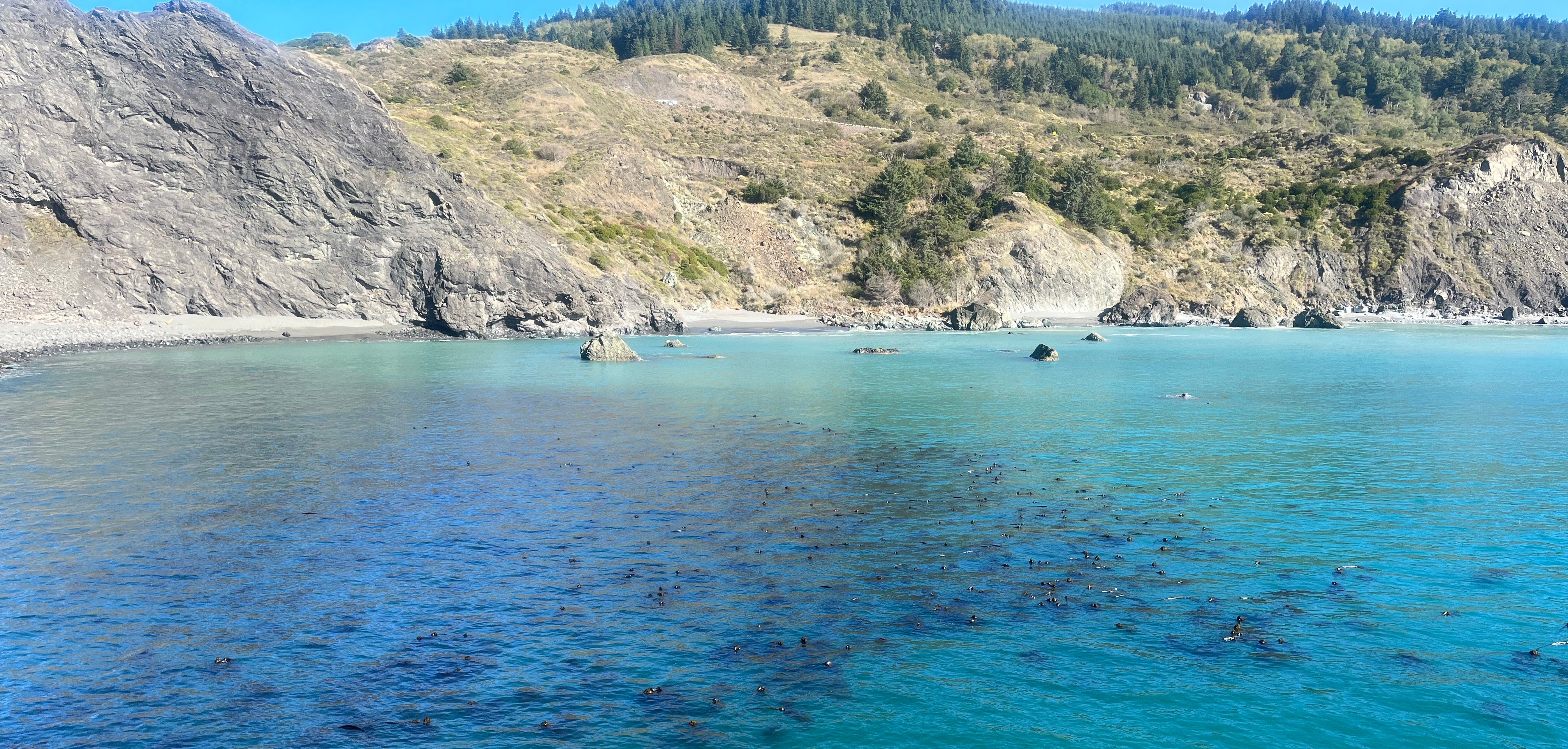 Photo of southern Oregon coast 