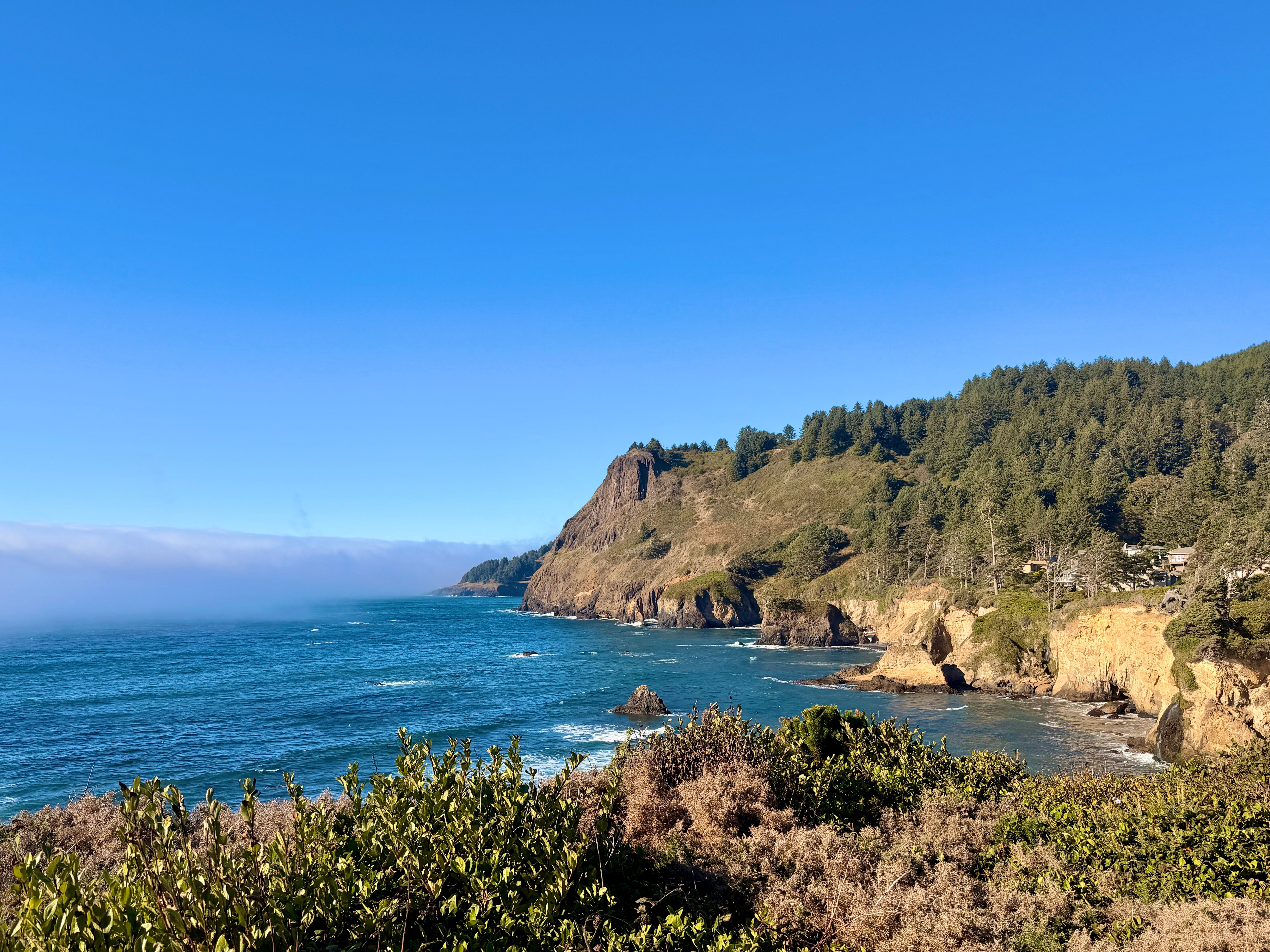 A view of the rocky bluff of the Oregon Coast on a blue sky day