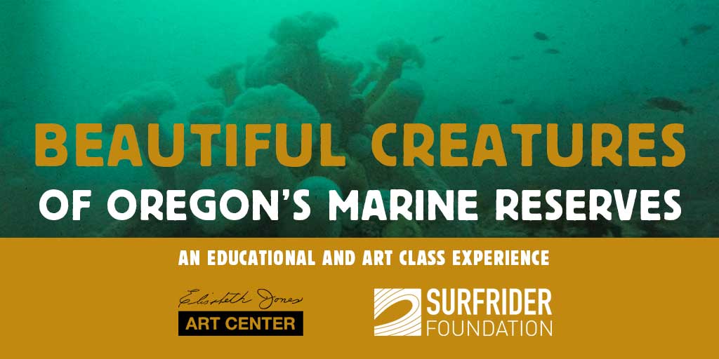Beautiful Creatures of Oregon’s Marine Reserves