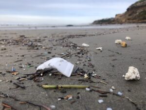 Oregon Plastic Pollution Policies on the Move!